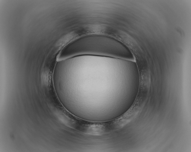 X0000112970168200909101700