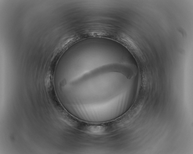 X0000112970169200909101701