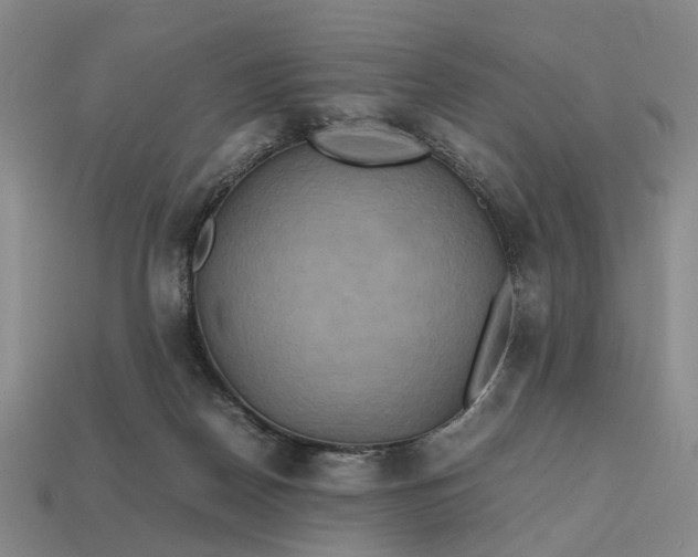 X0000112970170200909101701