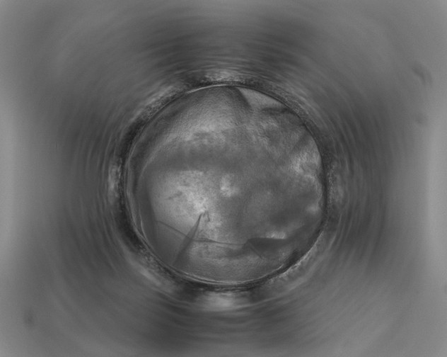 X0000112970171200909101701