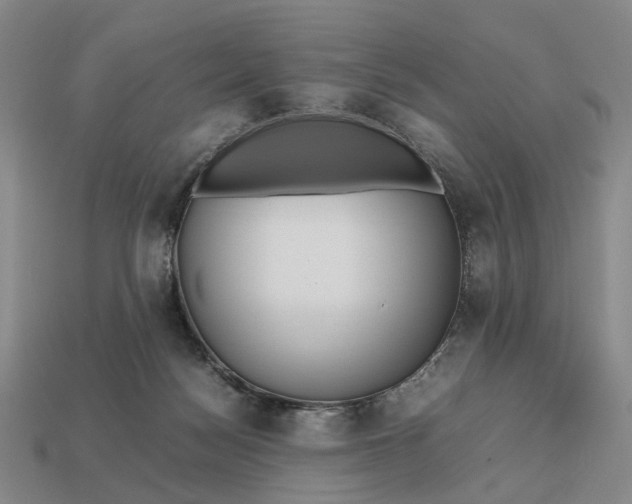 X0000112970172200909101701