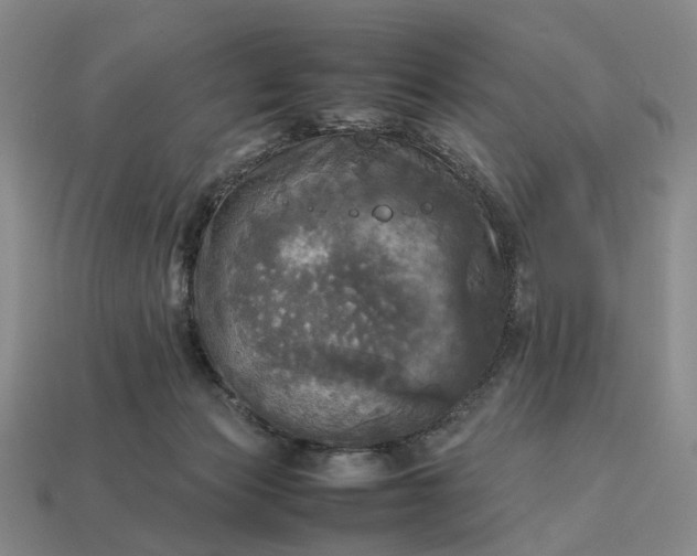 X0000112970173200909101701