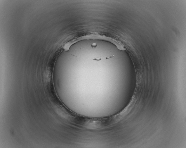 X0000112970174200909101701