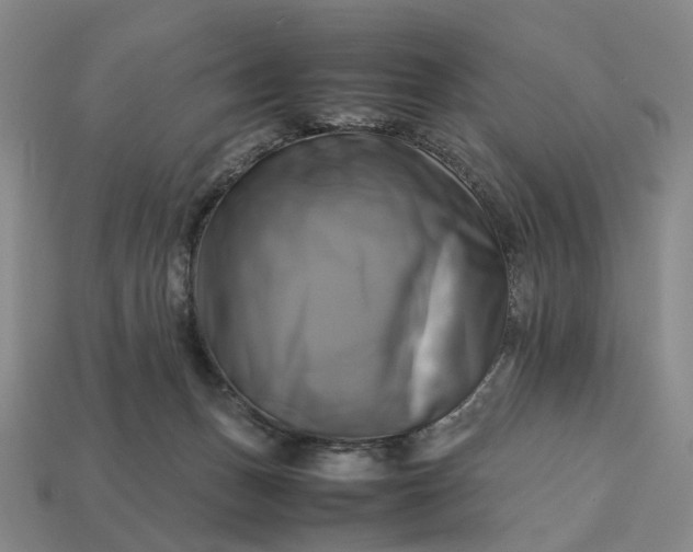 X0000112970175200909101701