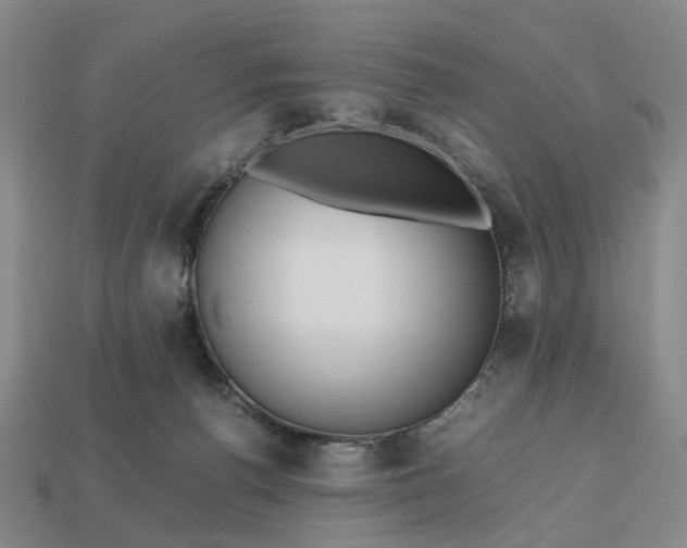 X0000112970176200909101701