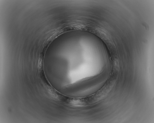 X0000112970177200909101701