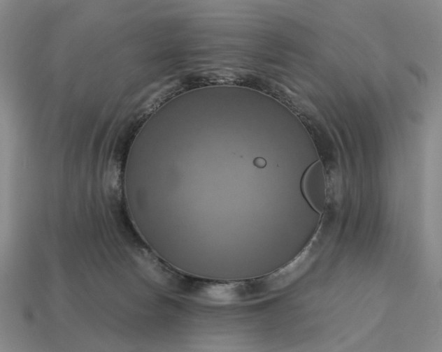 X0000112970178200909101701