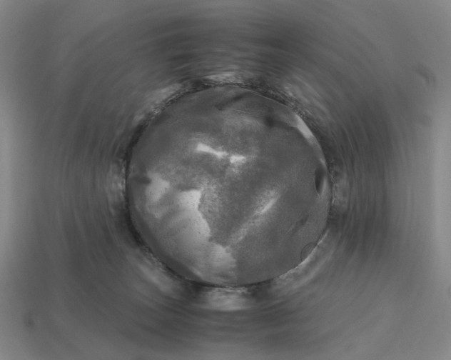 X0000112970179200909101701