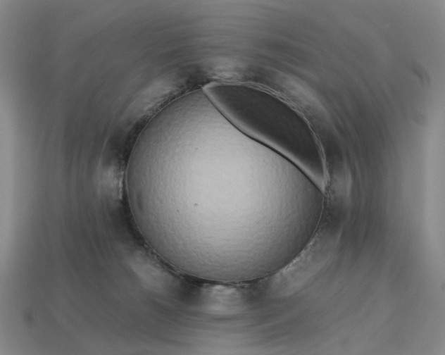 X0000112970180200909101701