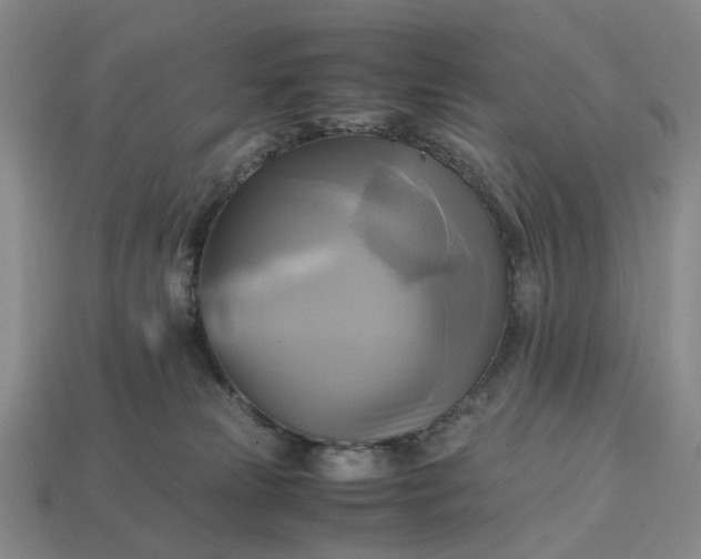 X0000112970181200909101701