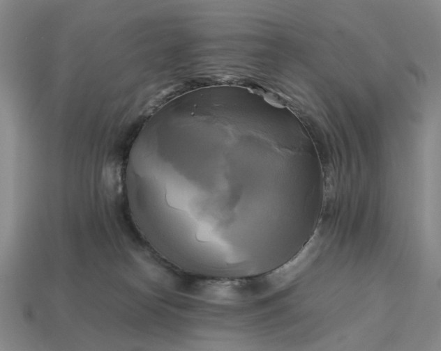 X0000112970182200909101701