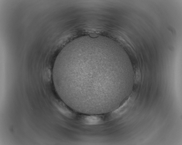 X0000112970183200909101701