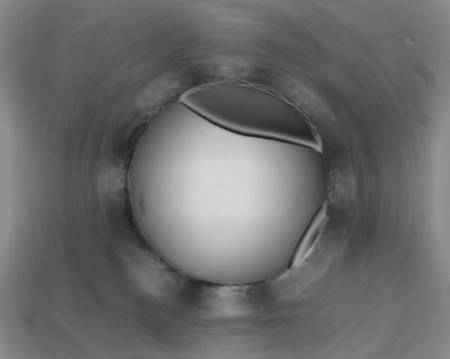 X0000112970184200909101701