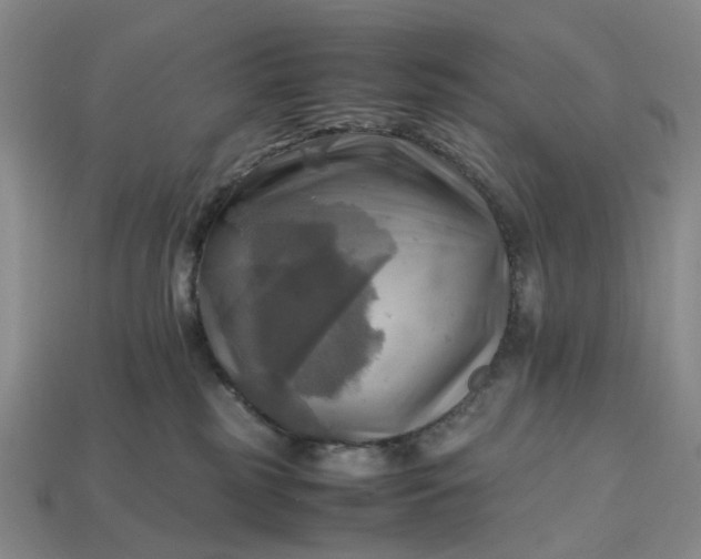 X0000112970185200909101701