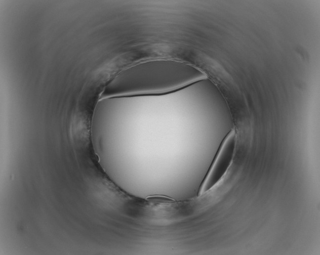 X0000112970186200909101701