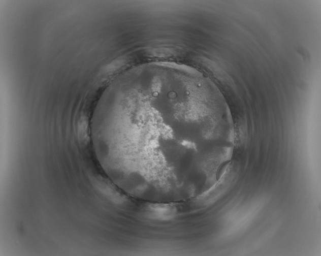 X0000112970187200909101701