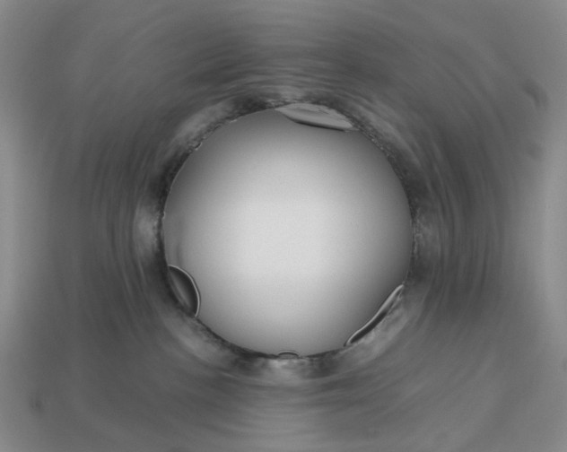 X0000112970188200909101701