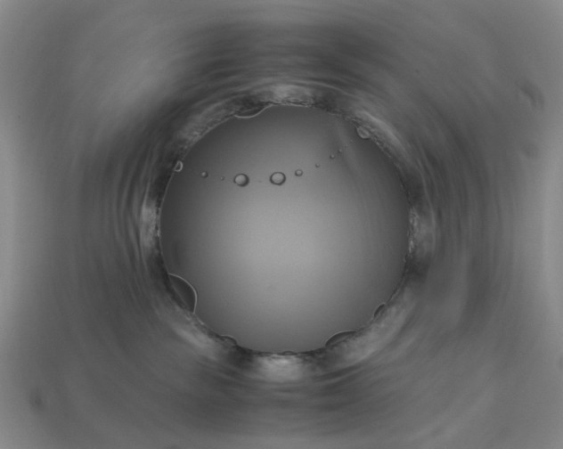 X0000112970189200909101701