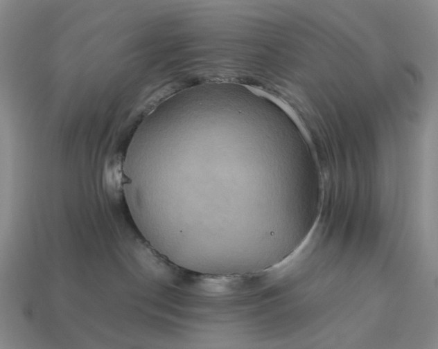 X0000112970190200909101701