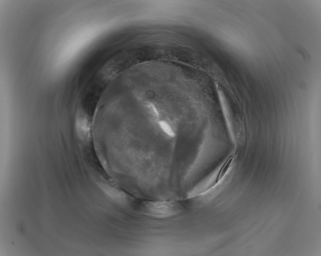 X0000112970191200909101701