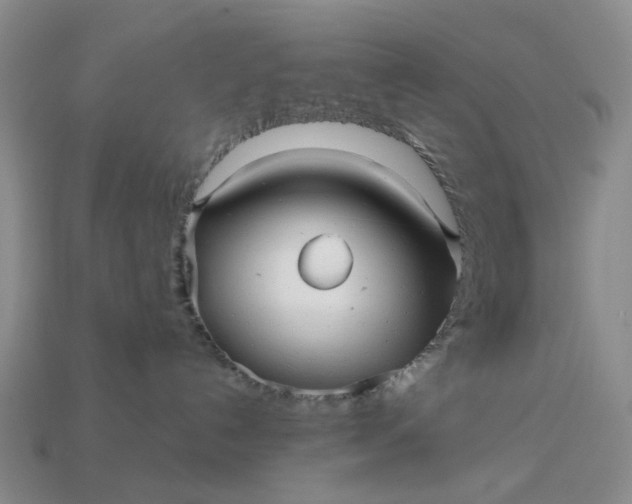 X0000112970192200909101701