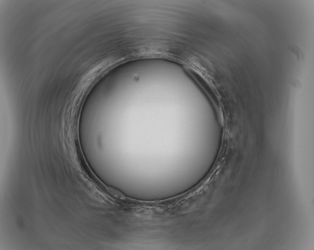 X0000112970193200909101700