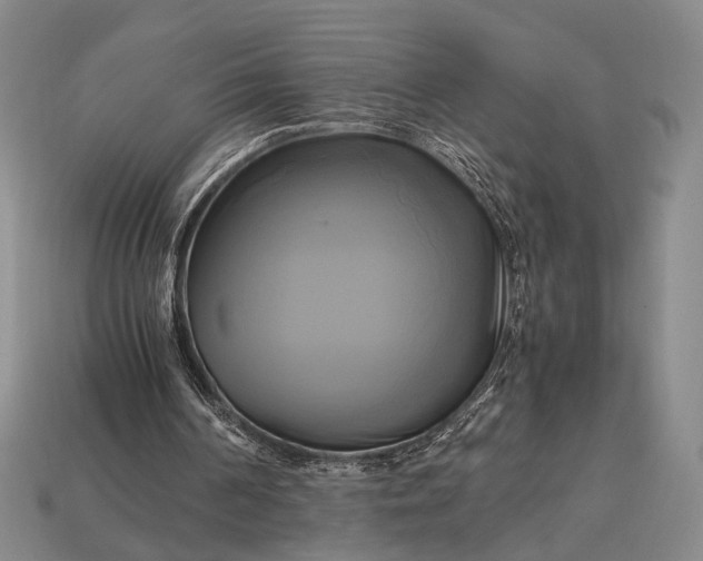 X0000112970194200909101700