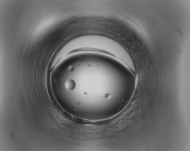 X0000112970195200909101700