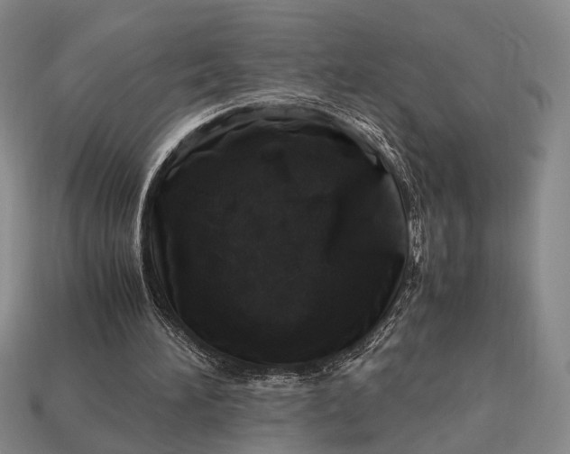 X0000112970196200909101700