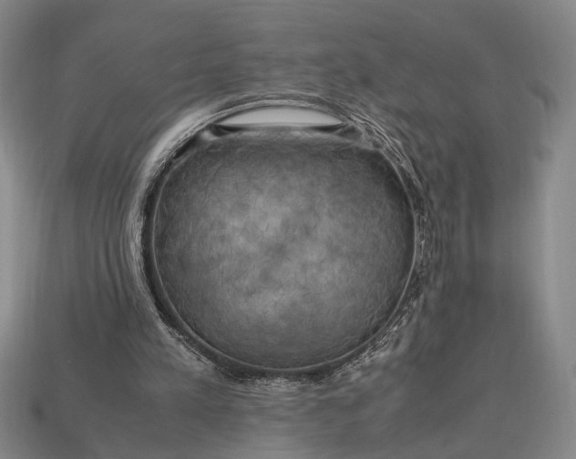 X0000112970197200909101700