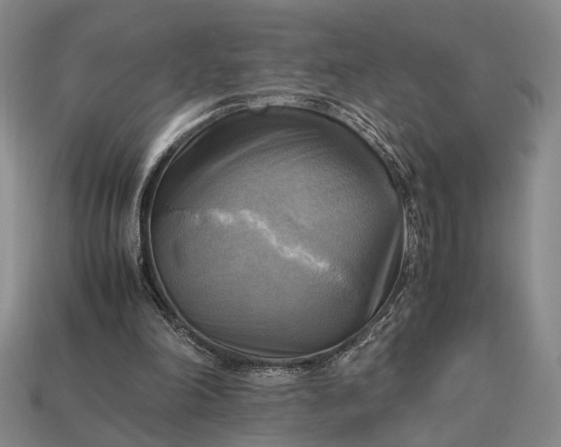 X0000112970198200909101700