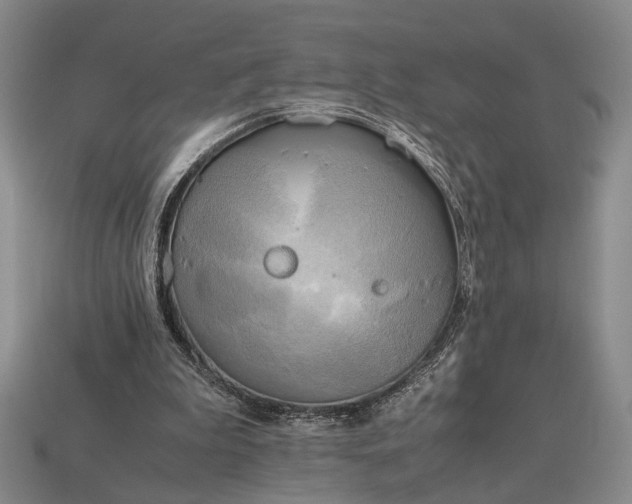 X0000112970199200909101700