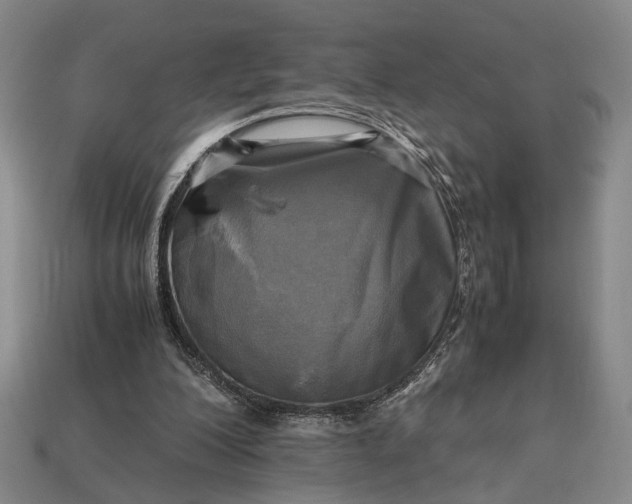 X0000112970200200909101700