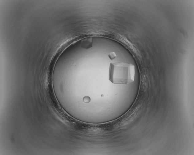 X0000112970203200909101700