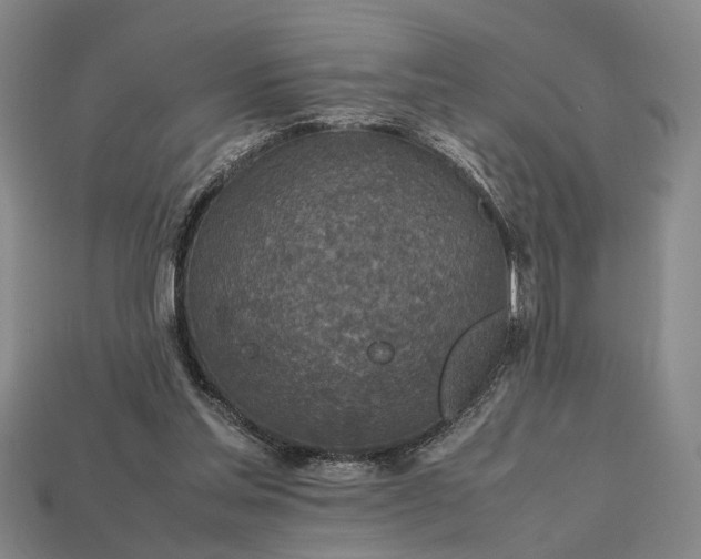 X0000112970205200909101700