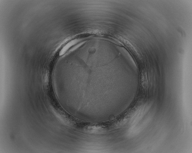 X0000112970208200909101700