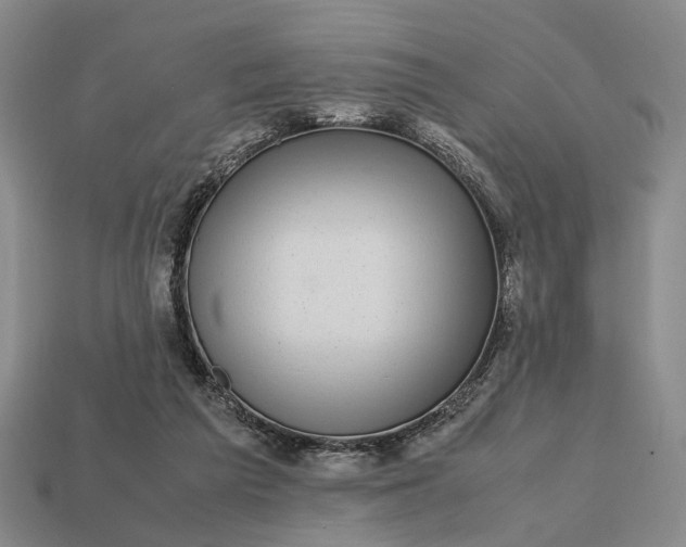 X0000112970209200909101700