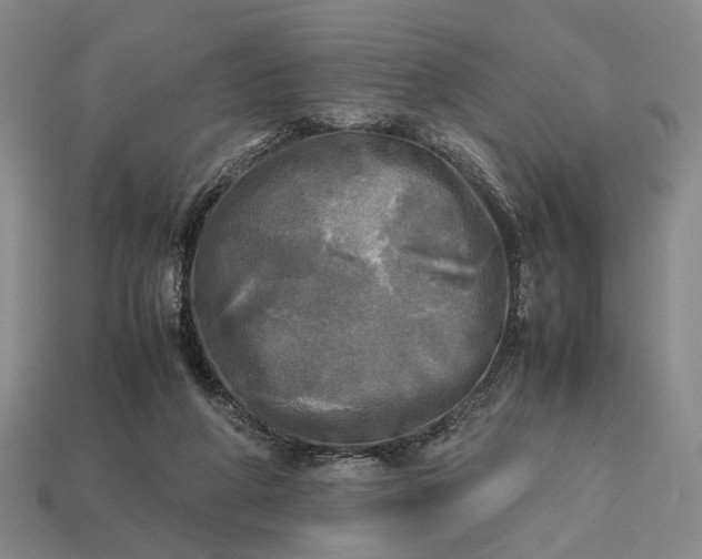 X0000112970210200909101700