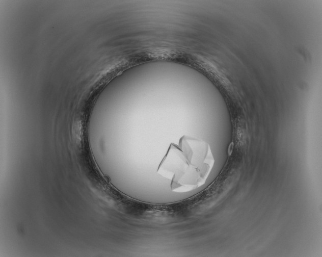 X0000112970211200909101700