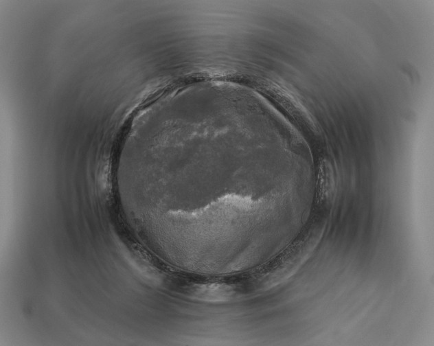 X0000112970212200909101700