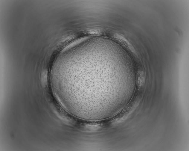 X0000112970213200909101700