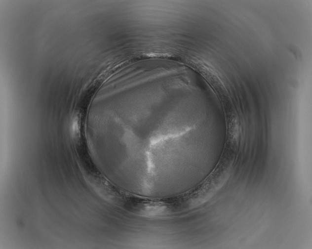 X0000112970214200909101700