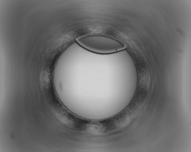 X0000112970215200909101700