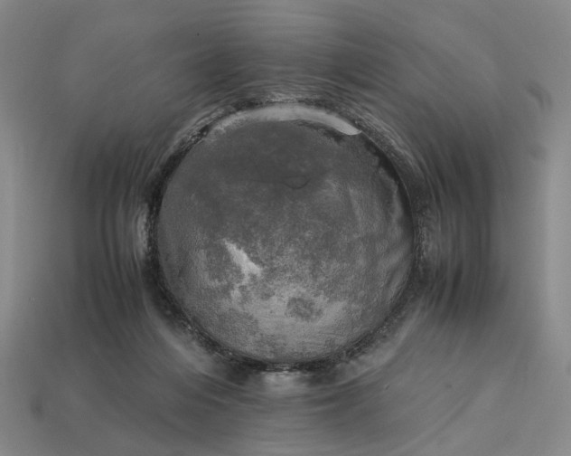 X0000112970216200909101700