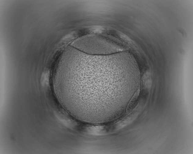 X0000112970217200909101700