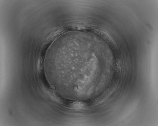 X0000112970218200909101700