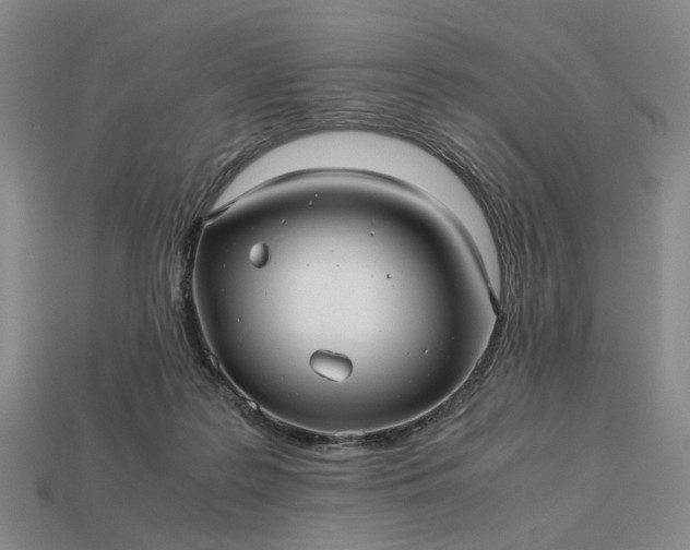 X0000112970219200909101700