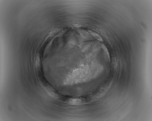 X0000112970220200909101700