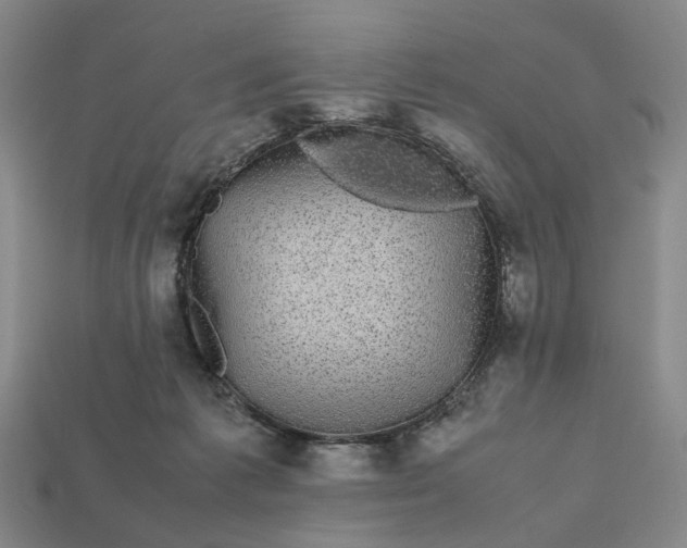 X0000112970221200909101700