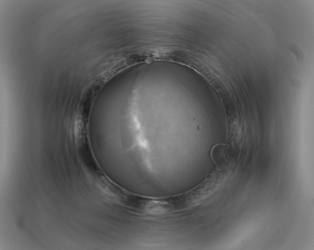 X0000112970222200909101700